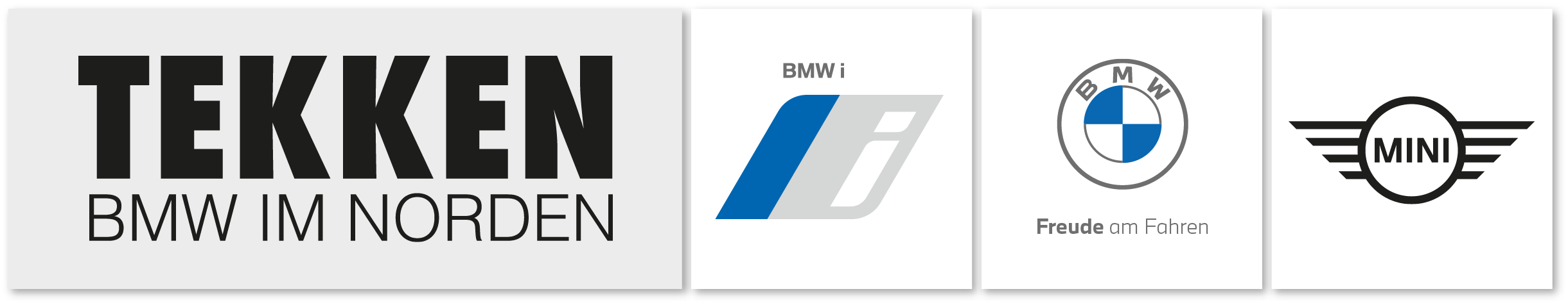 BMW Tekken